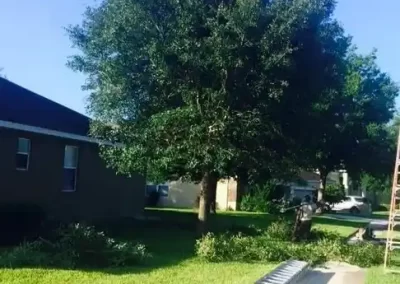 Expert Landscape Maintenance