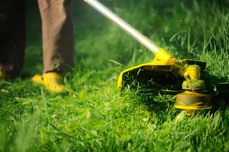 Benefits Of Hiring A Professional Grass Cutting Service in Apopka, FL