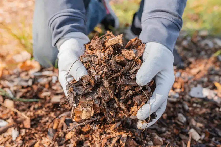 How Proper Mulching Protects Plants During Harsh Weather in Apopka, FL