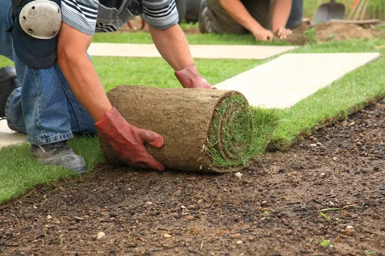 The Importance Of Proper Soil Preparation For Sod Installation in Apopka, FL
