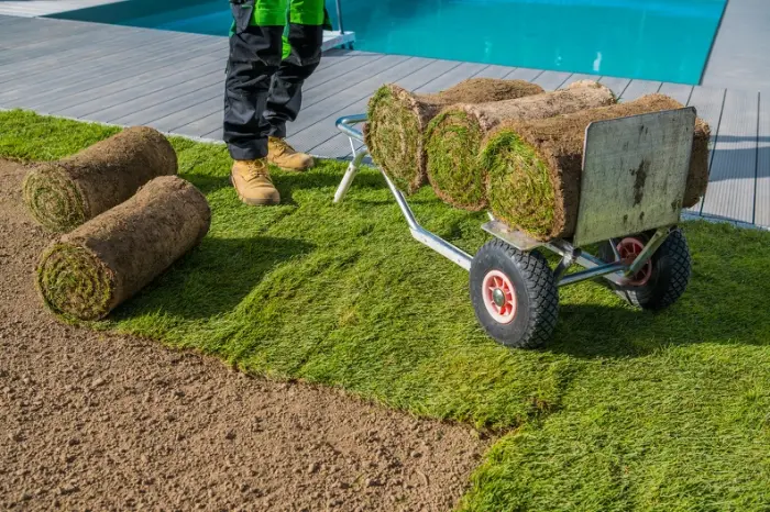 Why Professional Sod Installation Saves Time And Money in Apopka, FL