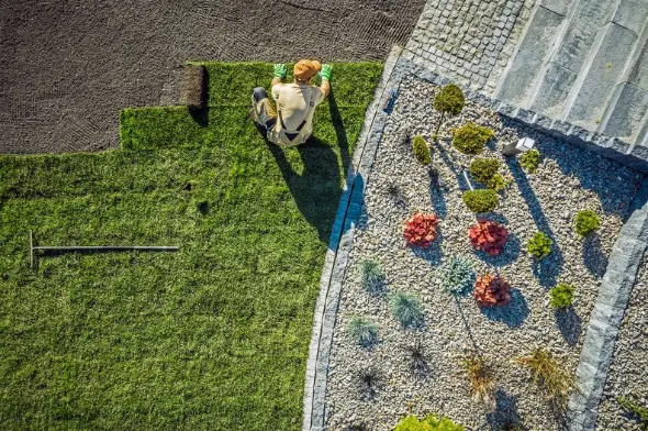 Why Professional Sod Installation Saves Time And Money in Apopka, FL